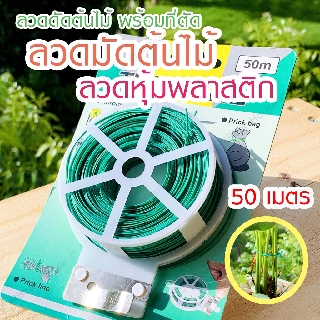 🌿 ลวดดัดต้นไม้ 🍃 ลวดรัดต้นไม้ ลวดหุ้มพลาสติก ลวดมัดต้นไม้