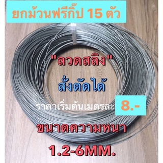 ลวดสลิงยกม้วน200M แถมกิ๊ปจับ 15 ตัว