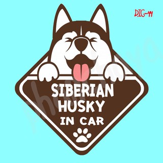 DIC44 สติ๊กเกอร์ ติดรถ Siberian Husky Dog In Car สติ๊กเกอร์ติดรถ car sticker