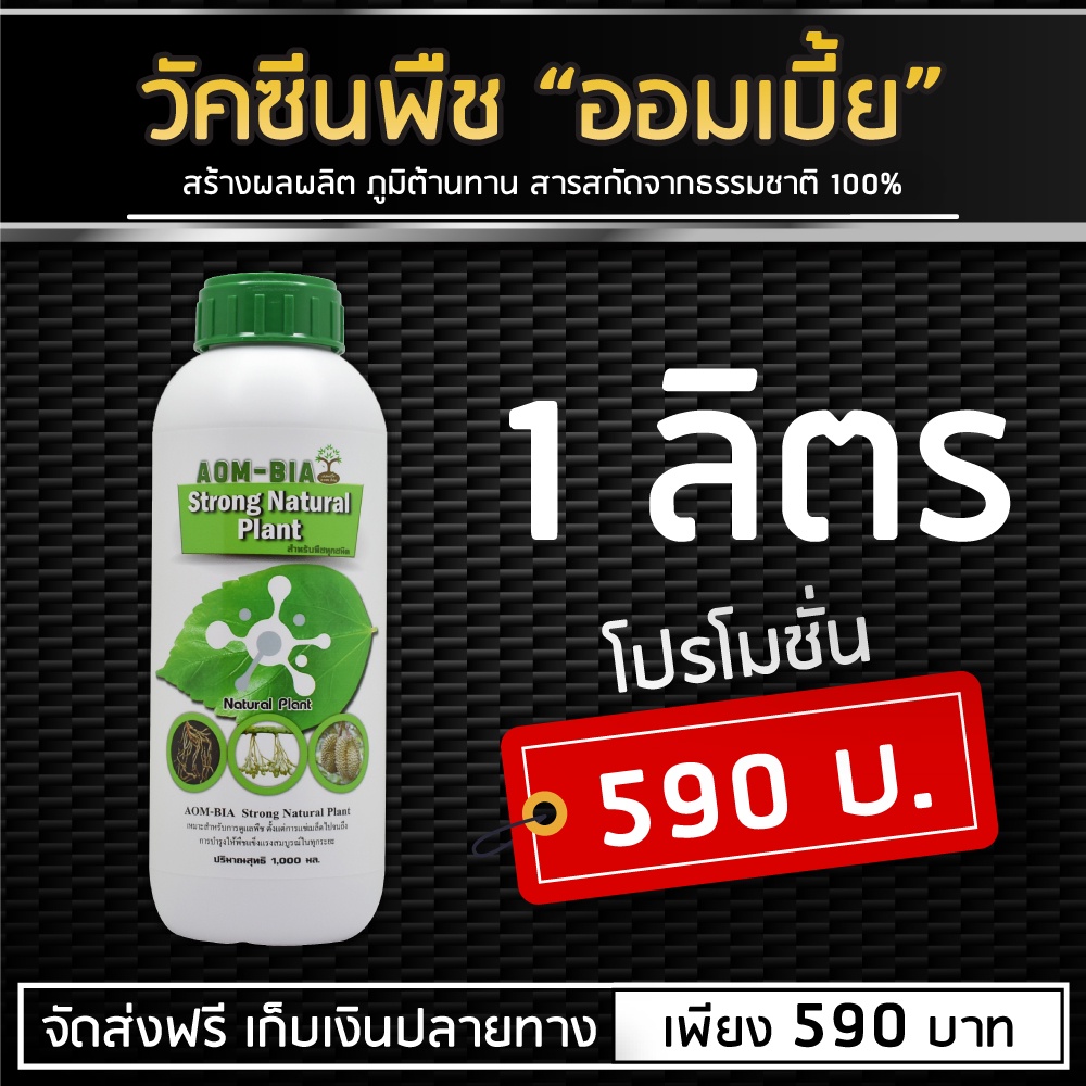 วัคซีนพืช "ออมเบี้ย" นวัตกรรมใหม่ ทำงาน 2 in 1 ฮอร์โมนพืชและปุ๋ยทางใบ สกัดจากธรรมชาติ 100% (1 ลิตร) A1