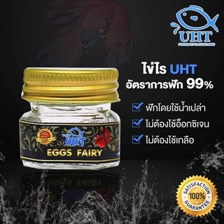 ไข่ไรUHT อาหารสำหรับปลาเล็กและแรกเกิด