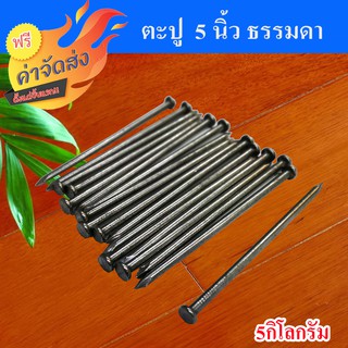 **ส่งฟรี** ตะปู ตะปูตอกไม้ ขนาด 5 นิ้ว จำนวน 5 กิโลกรัม