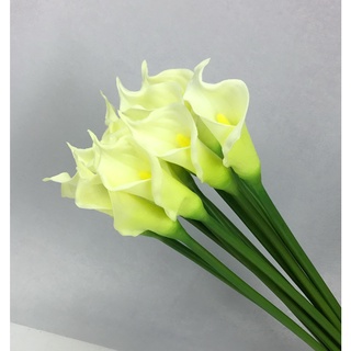 OrientalFineArt ดอกคาล่าลิลลี่ตูมปลอม Calla lily-cream/green ดอกสวย(CM-01025 Cream-green)