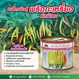 เมล็ดพันธุ์พริกมณีขาว (ตะวันต้นกล้า) ขนาด 20 กรัม