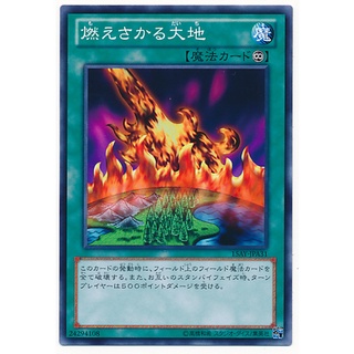 15AY 15AY-JPA31 Burning Land MDK Duelist Kingdom Common 15AY-JPA31 0807001397032