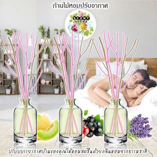 🔥หอมสดชื่น ก้านไม้หอมปรับอากาศ เซนต์ เนเจอร์ 50ml 🔥(Official SHOP)( ร่วมโปร ถ้าซื้อ 3 จะแถม 1 แผ่นหอม)