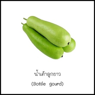 เมล็ดน้ำเต้าลูกยาว [Bottle gourd] 5 เมล็ด [10 แถม 1 คละได้]