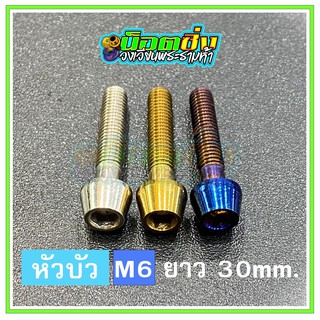 น็อตสแตนเลส หัวบัว ขนาดเกลียว m6 ยาว 30 mm.