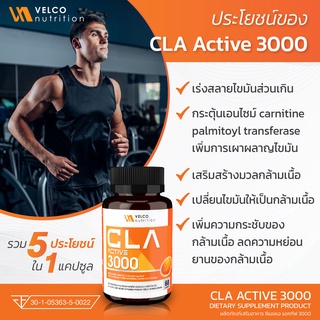 Velco nutrition CLA ซีแอลเอ เผาผลาญไขมัน กระชับ สัดส่วน สร้างกล้ามเนื้อ