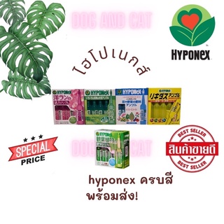 สารให้ความสมบูรณ์แก่พืช hyponex ampoule และ Cute อันดับ 1 จากญี่ปุ่น พร้อมส่ง! (ของเข้ารอบใหม่!!)