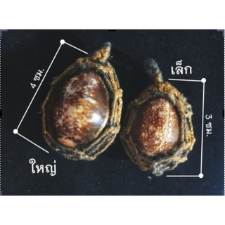 เบี้ยแก้ 3.5-4 ซม. หอยเบี้ย ถักเชือกลงทอง ฝังตระกุด