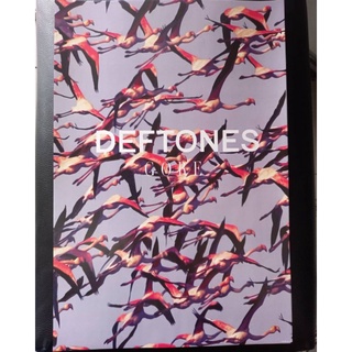 โปสเตอร์ติดผนัง วงดนตรี Deftone