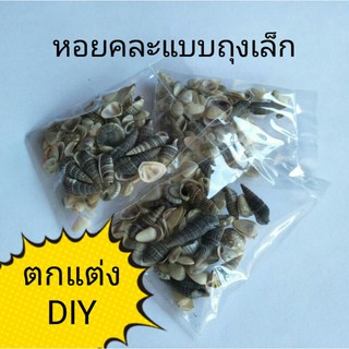 หอยคละแบบถุงเล็ก สำหรับตกแต่ง DIY ตกแต่งเทียนเจล (1ถุง)