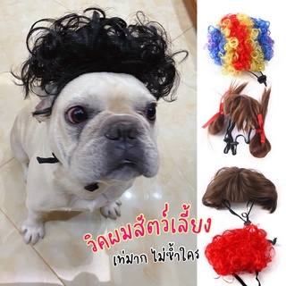 🐶พร้อมส่ง🇹🇭 วิคผมสัตว์เลี้ยง คอสเพลย์สัตว์เลี้ยงสุดน่ารัก