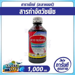 ดาราเน็กซ์ 1,000 ml.  ( อะลาคลอร์ ) ยาคุมหญ้า สารกำจัดวัชพืช  ศัตรูพืช  เคมีเกษตร  ปุ๋ยยา