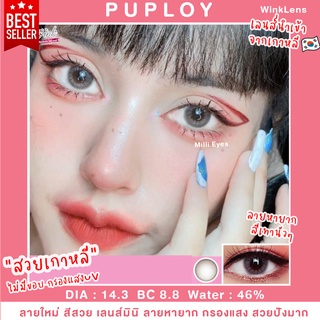 🌜สีเทานัวๆ ลายหายาก สวยเกาหลี รับตรงจากแบรนด์✅ กรองแสงUV☀️ ค่าน้ำสูง46% Winkwow: Puploy สีเทา สีน้ำตาล สวยปังมาก