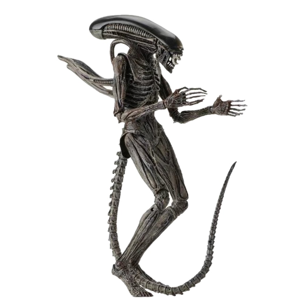 最高の Alien: NECA Covenant Figure Action Xenomorph - Figure Action Scale 7