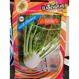 เมล็ดผักชีลาวฝรั่ง - Florence Fennel Herb 10 แถม 1 คละได้ เมล็กผัก เมล็ดพันธุ์ ผักชี ผักชีลาว ผักชีลาวฝรั่ง