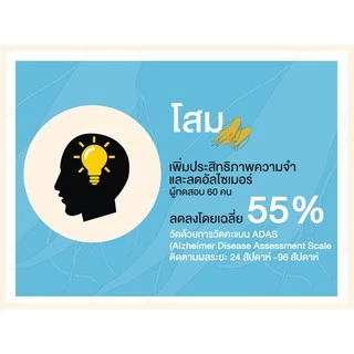 MyBraini+ (มายไบรนี่พลัส) โปร 5 กล่อง - รบำรุงสมอง ความจำ คิดค้นโดยผู้เชี่ยวชาญด้านสมุนไพรกว่า 10ปี