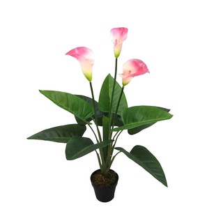 Artificial tree PINK CALLA LILY POTTED 72 CM. Garden accessories Garden decoration accessories ต้นไม้ประดิษฐ์ ต้นคาลล่าล