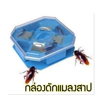 กล่องดักแมลงสาบ ไม่ใช้ไฟฟ้า Cockroach Trap Box