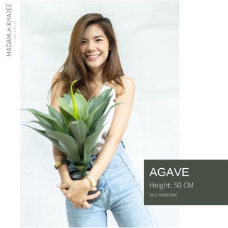 ต้นปรง 50 ซม. Premium Artificial Agave ต้นไม้ปลอม ต้นไม้ประดิษฐ์ เสมือนจริง สูง 50 ซม.ต้นไม้ปลอมตกแต่งบ้าน มาดามขจี