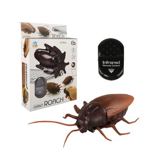 แมลงสาบบังคับ Giant Roach