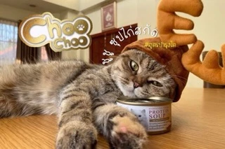 [ส่งฟรี+แถม1กป] ชูชู อาหารเสริม บำรุงแมวซุปไก่สกัดเข้มข้น(80 กรัมx12กระป๋อง)ดูแลไตสำหรับแมวด้วยสารสกัดจากแครนเบอร์รี่