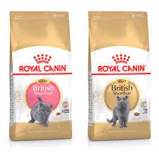Royal Canin British Shorthair สูตรแมวโตและลูกแมว 2 Kg