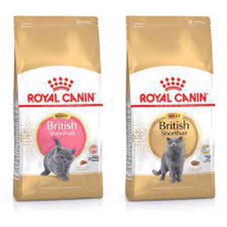 Royal Canin British Shorthair สูตรแมวโตและลูกแมว 10 Kg