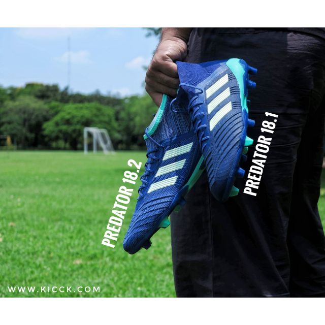 predator 18.1 deadly strike