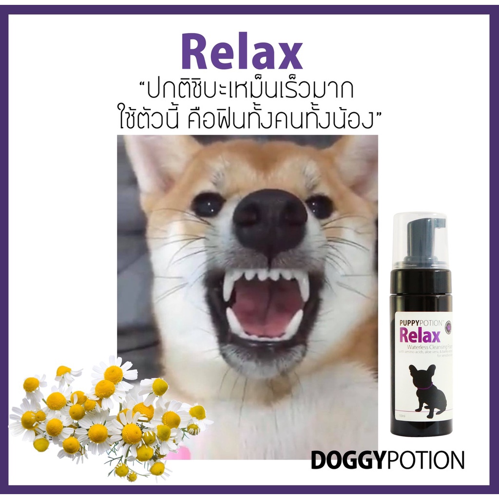 Puppy Potion Relax Waterless Cleansing Foam 150 ml ราคา ถูกที่สุด ดีลบีเคเค แกลเลอรีภาพที่ 5