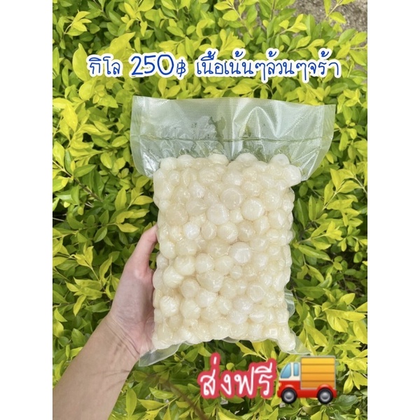 กระเทียมโทนดองน้ำผึ้ง ลดราคา 219฿‼️ น้ำหนักเนื้อล้วนๆๆ 1 กิโลกรัม (ชั่งแต่เนื้อ ไม่รวมน้ำ) มี อย.