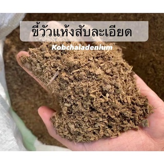 ขี้วัวนมแท้ 100% สับละเอียด ขนาด 1 กิโลกรัม