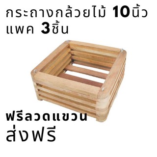 กระเช้ากล้วยไม้ กระถางแบบแขวน กระถางกล้วยไม้ 10นิ้ว เหมาะสำหรับใส่กล้วยไม้ 4 ต้น