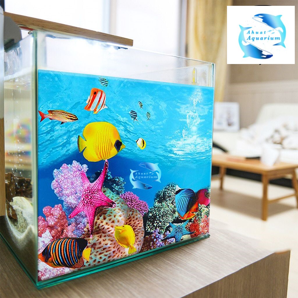 3D AQUARIUM WALLPAPER HEIGHT 40 ซม. 50 ซม. 60 ซม. 2 ด้านต่อเมตร 2 PICTURES ใน 1 3D AQUARIUM BACKGROU