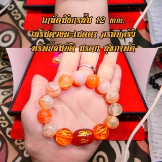 เกล็ดมังกรส้ม 12 mm.