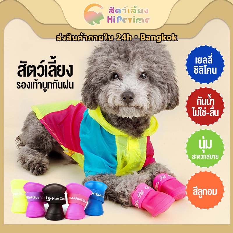 😺สินค้าอยู่ในไทย พร้อมส่ง😺รองเท้าบูทกันฝนสำหรับสัตว์เลี้ยง กันน้ำ กันลื่น และกันสิ่งสกปรก มีให้เลือก