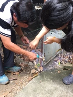 ตาข่ายกันงู 🅰️ กันงู — ล้อมรั้ว รุ่นป้ายยาว 200 เมตร **ใช้ล้อมบริเวณพื้นที่ยาว 100-120 เมตร