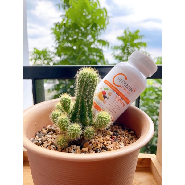 Boomคอลลาเจนbybiwรับตัวแทนจำหน่ายพร้อมส่ง