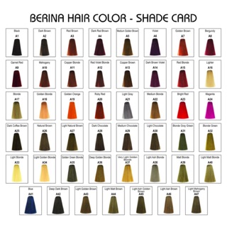 ครีมเปลี่ยนสีผม Berina เบอริน่า 47 สี (สีA21-A40) ราคา 35-55 บาท