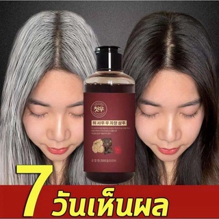 Polygonum multiflorum แชมพู 300ml บำรุงรากผม สูตรออร์แกนิค แชมพู