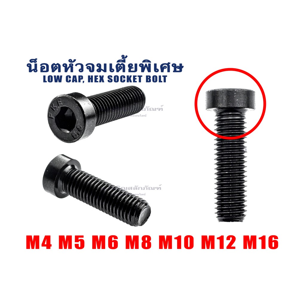 น็อตหัวจมดำหัวเตี้ยพิเศษ M4 M5 M6 M8 M10 M12 M16 Low Cap Socket Bolt (แพ็คละ 1 ตัว) หัวจมเตี้ย หัวเล็กพิเศษ