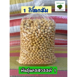 ถั่วเหลืองดิบเต็มเมล็ด 1 กิโลกรัม มี 2แบบ 1.เพาะงอก/ปลูกเป็นถั่วแระ 2.แบบทำอาหาร 3.ถั่วแระญี่ปุ่น