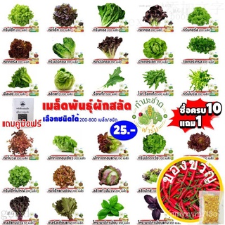 เมล็ดอวบอ้วน100%ทำมะชาดฟาร์ม [10แถม1 มีคู่มือ] ☘️200-800เมล็ด/ซอง เมล็ดพันธุ์ ผักสลัด กรีนโอ๊ค ผักกาดแก้ว สลัดมิกซ์ สวิส