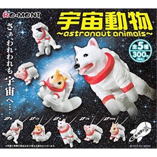 ชุดรีเมน พวงกุญแจ Astronaut Animals.