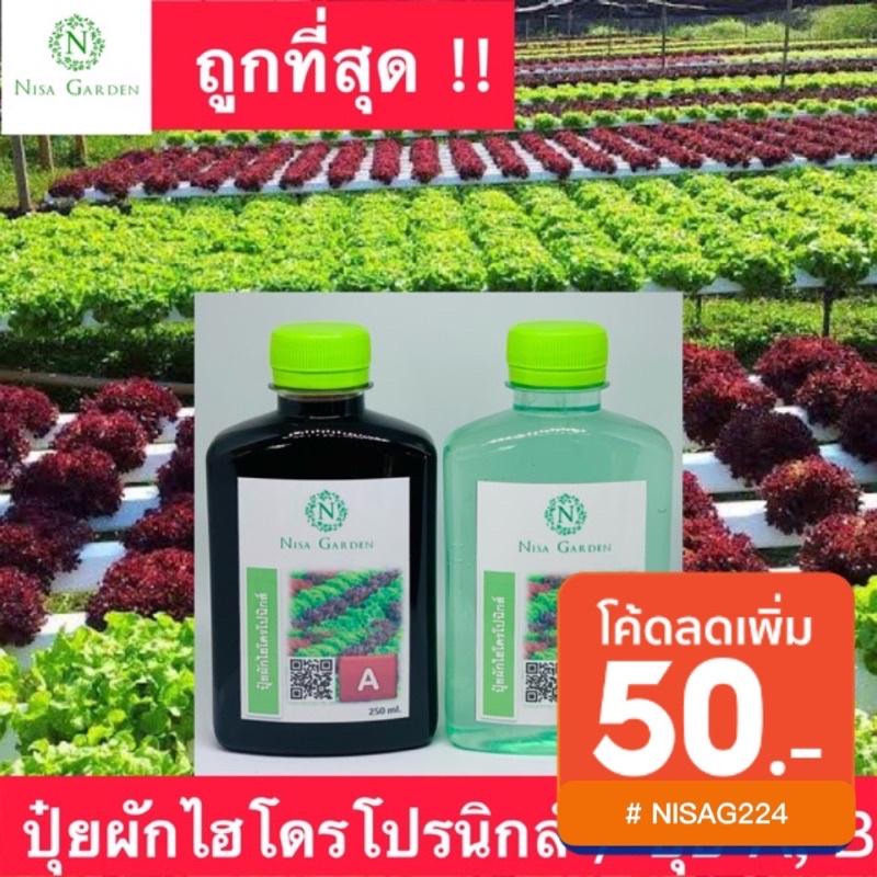 ปุ๋ย AB 4G ผักสลัด คื่นฉ่าย 250 cc ปุ๋ยผักไฮโดรโปนิกส์ ปุ๋ยเอบี ปุ๋ยสลัด ราคาถูกกกกก