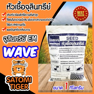 หัวเชื้อจลินทรีย์ ขนาด 1กิโลกรัม (EM Microbe) สำหรับย่อยสลายกากในถังบำบัด บำบัดน้ำเสีย หมดปัญหาเรื่องกลิ่นรบกวน