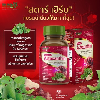 Star Herb axanthin สารสกัดใบพลูคาว สร้างภูมิคุ้มกันให้แก่ร่างกาย ป้องกันหวัด