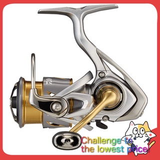 DAIWA FC LT 2000S-XH Spinning Reel 21 Freams [Native trout, Light salt, etc.]